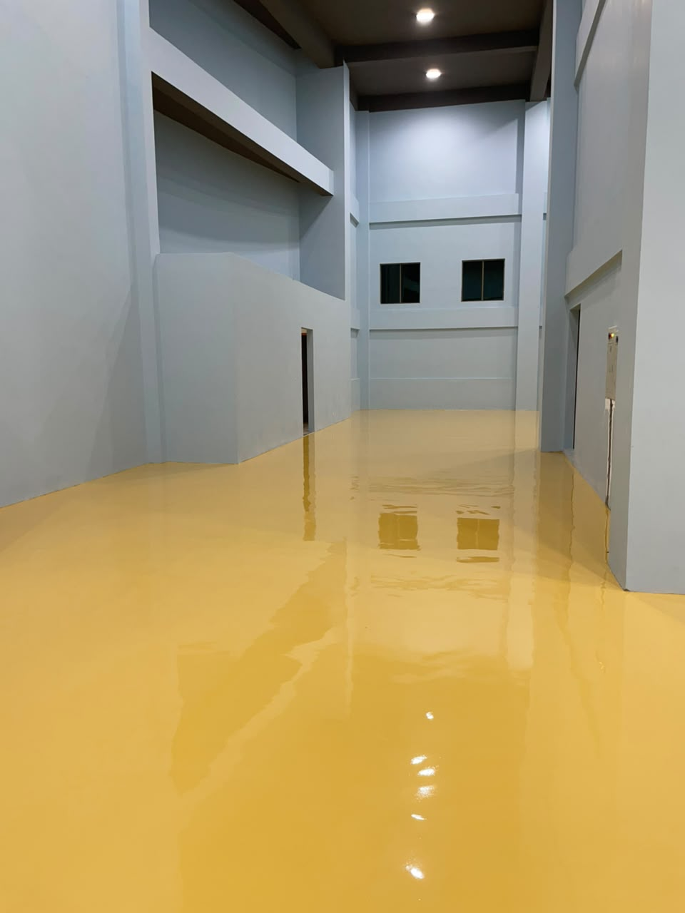 Epoxy flooring project